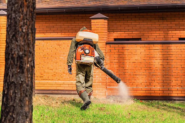 Bed Bug Clearance Verification and Documentation in Mastic